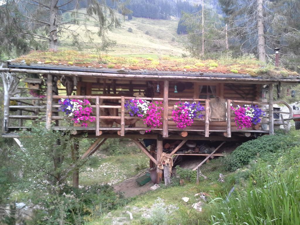 Ferienwohnung Biobergbauernhof Brandenau Taxenbach Exterior foto